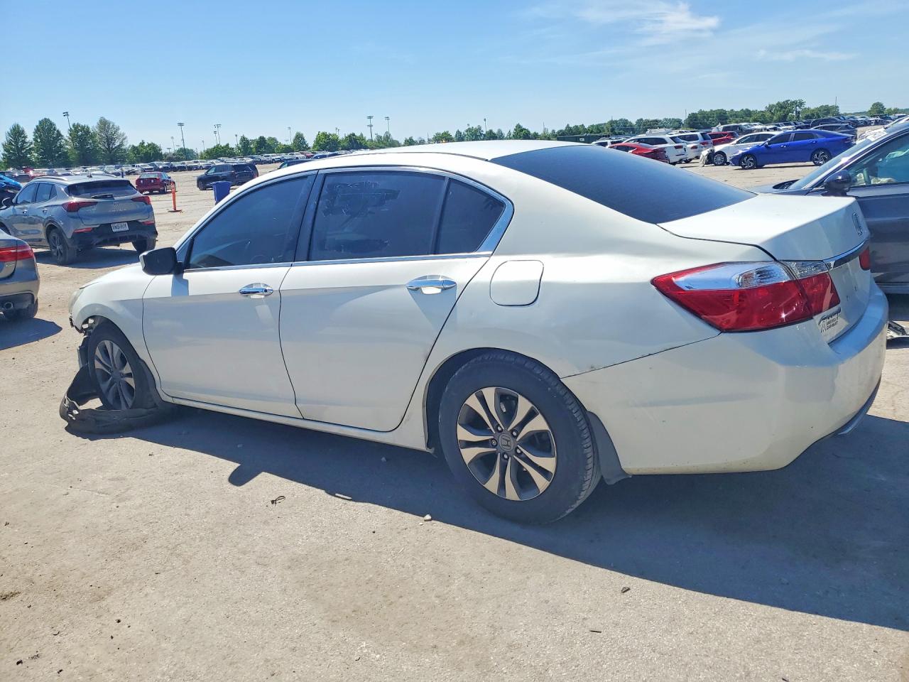 2015 Honda Accord Lx Белый vin: 1HGCR2F32FA219837