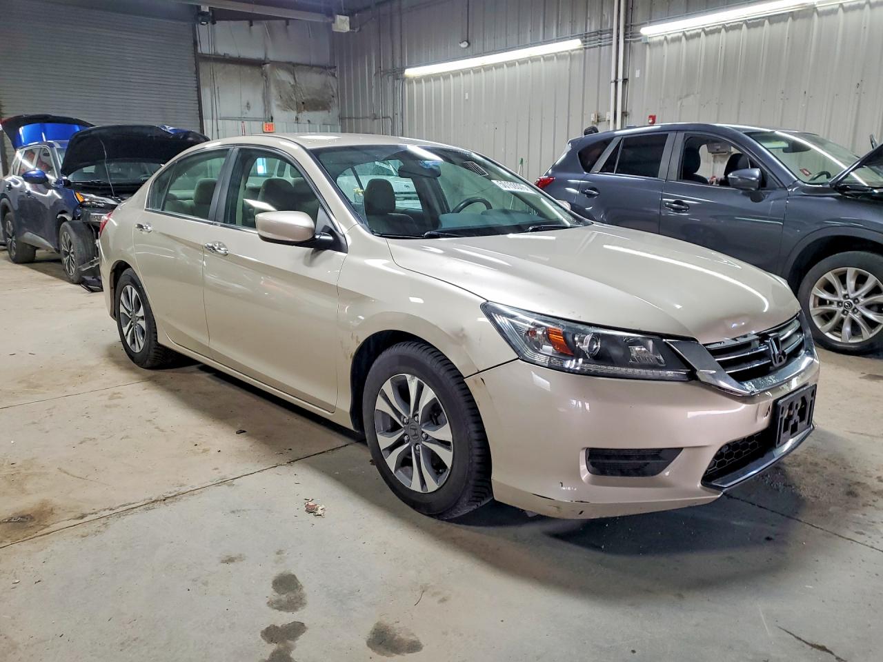 2013 Honda Accord Lx Beige vin: 1HGCR2F33DA145941