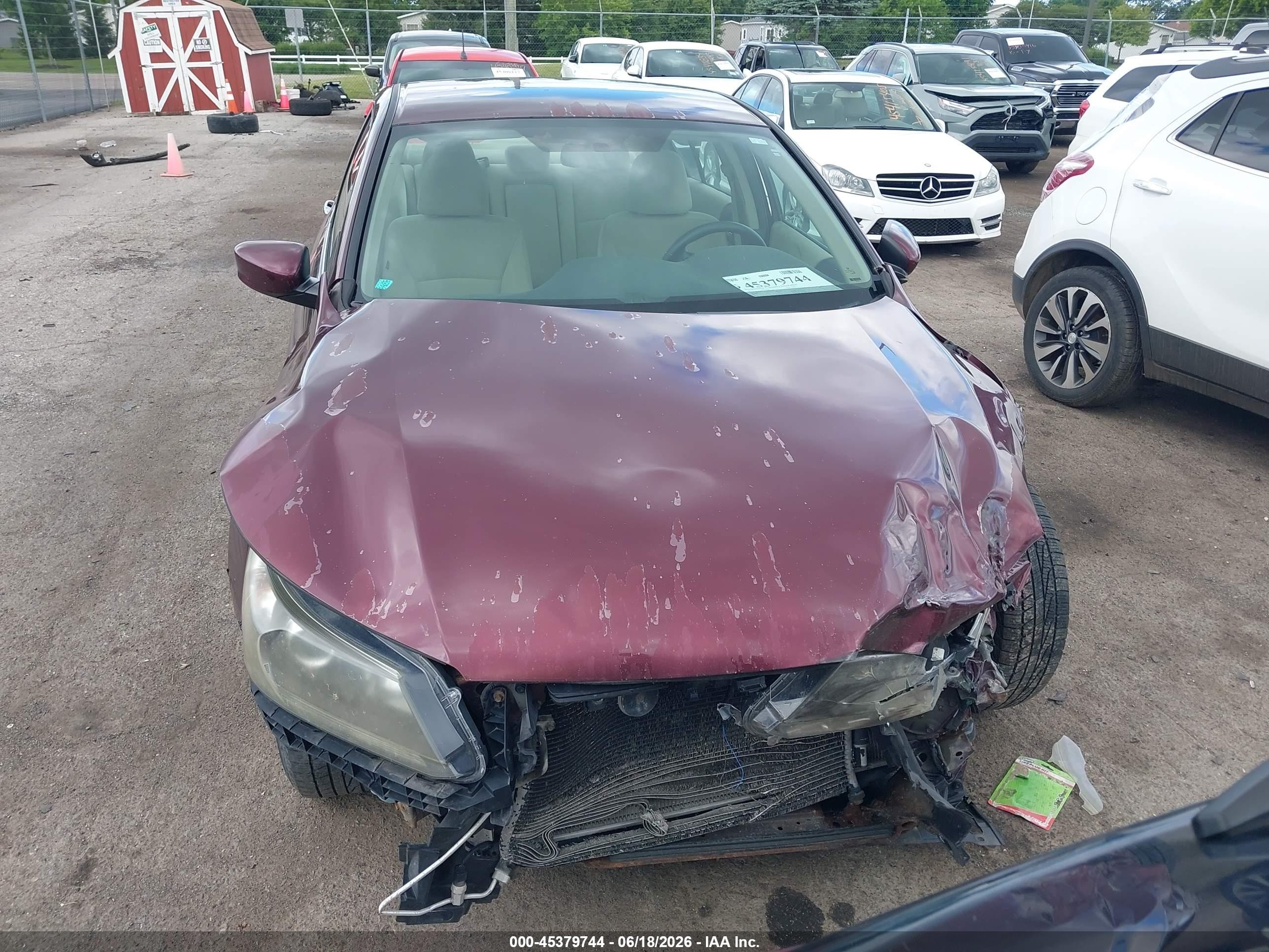 2013 Honda Accord Lx Purple vin: 1HGCR2F34DA179757