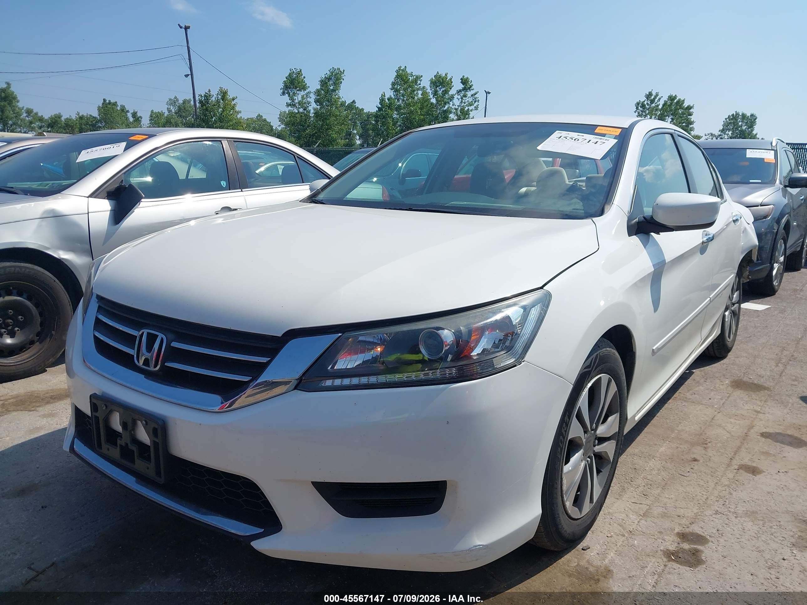 2013 Honda Accord Lx Белый vin: 1HGCR2F34DA221179