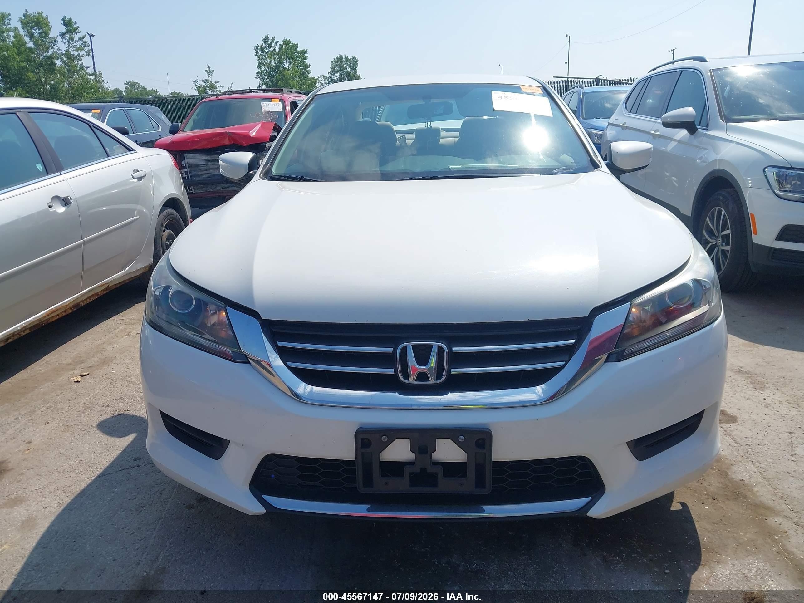 2013 Honda Accord Lx Белый vin: 1HGCR2F34DA221179