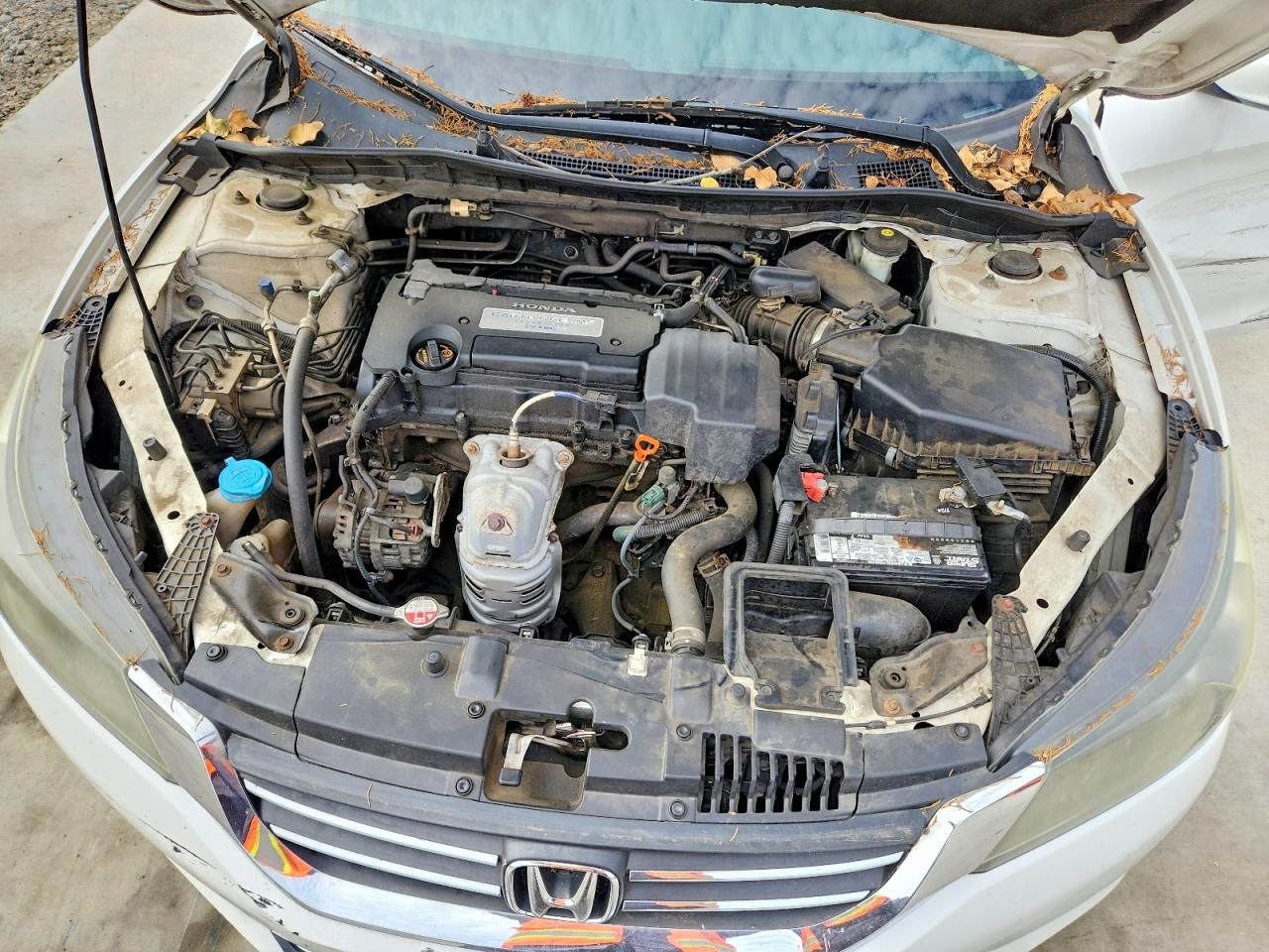 2013 Honda Accord Lx White vin: 1HGCR2F35DA076038