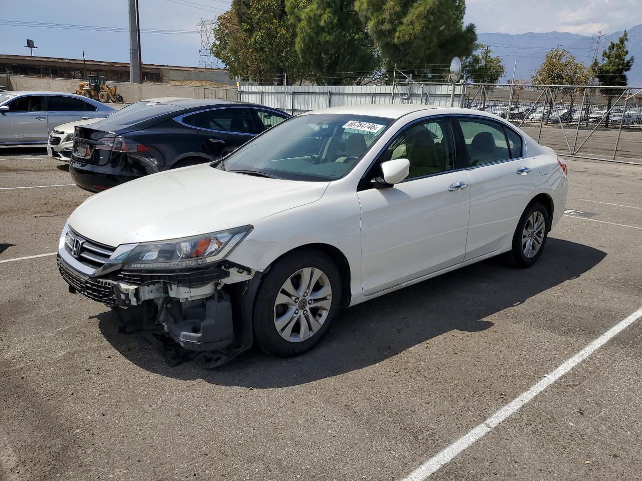 2013 Honda Accord Lx Белый vin: 1HGCR2F35DA127487