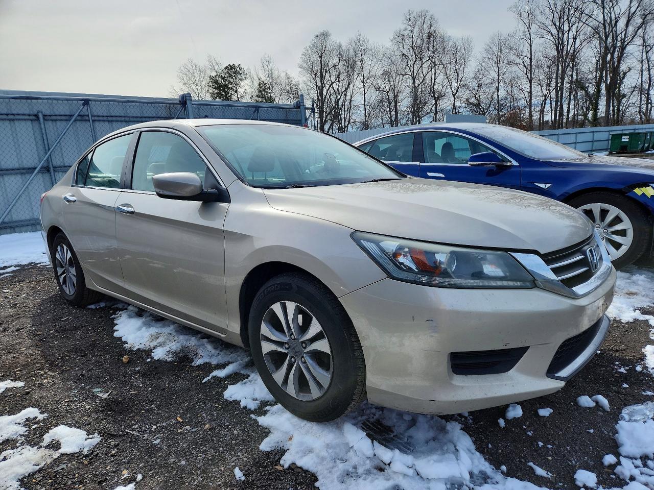 2013 Honda Accord Lx Beige vin: 1HGCR2F35DA238511