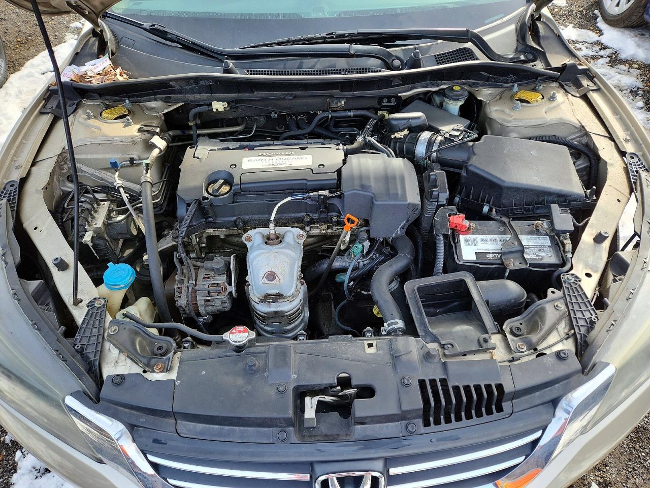 2013 Honda Accord Lx Beige vin: 1HGCR2F35DA238511