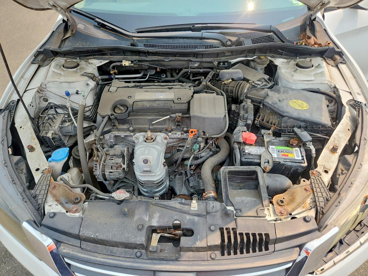 2015 Honda Accord Lx White vin: 1HGCR2F35FA210758