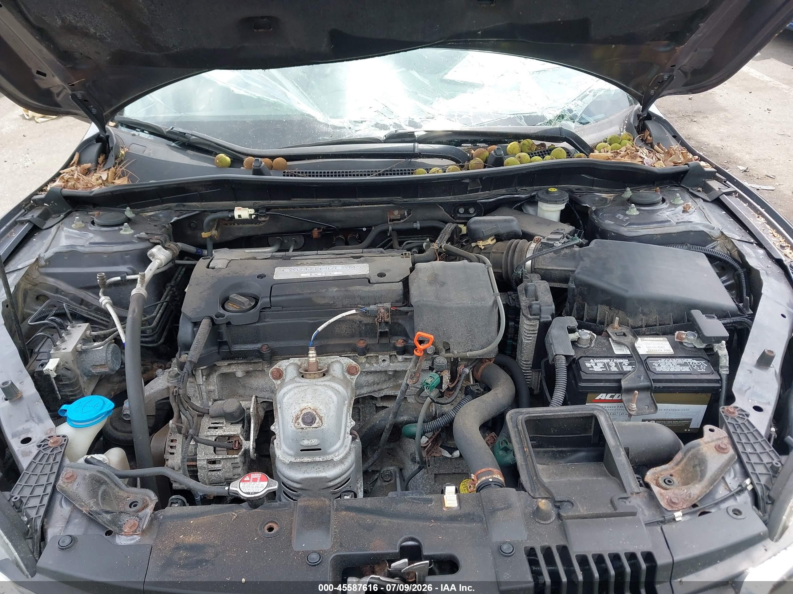 2015 Honda Accord Lx Серый vin: 1HGCR2F35FA262827