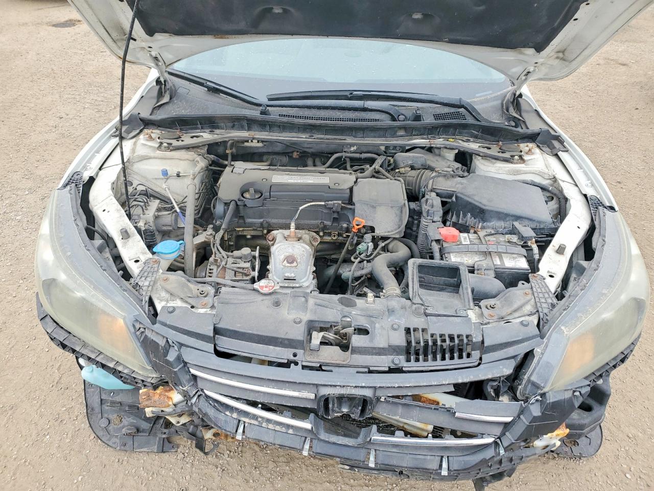 2015 Honda Accord Lx Белый vin: 1HGCR2F35FA804072