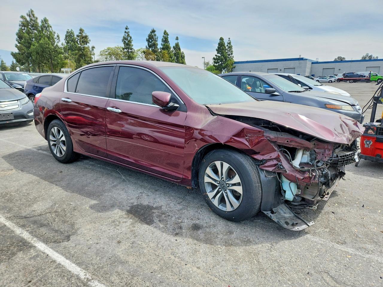2013 Honda Accord Lx Burgundy vin: 1HGCR2F36DA194695