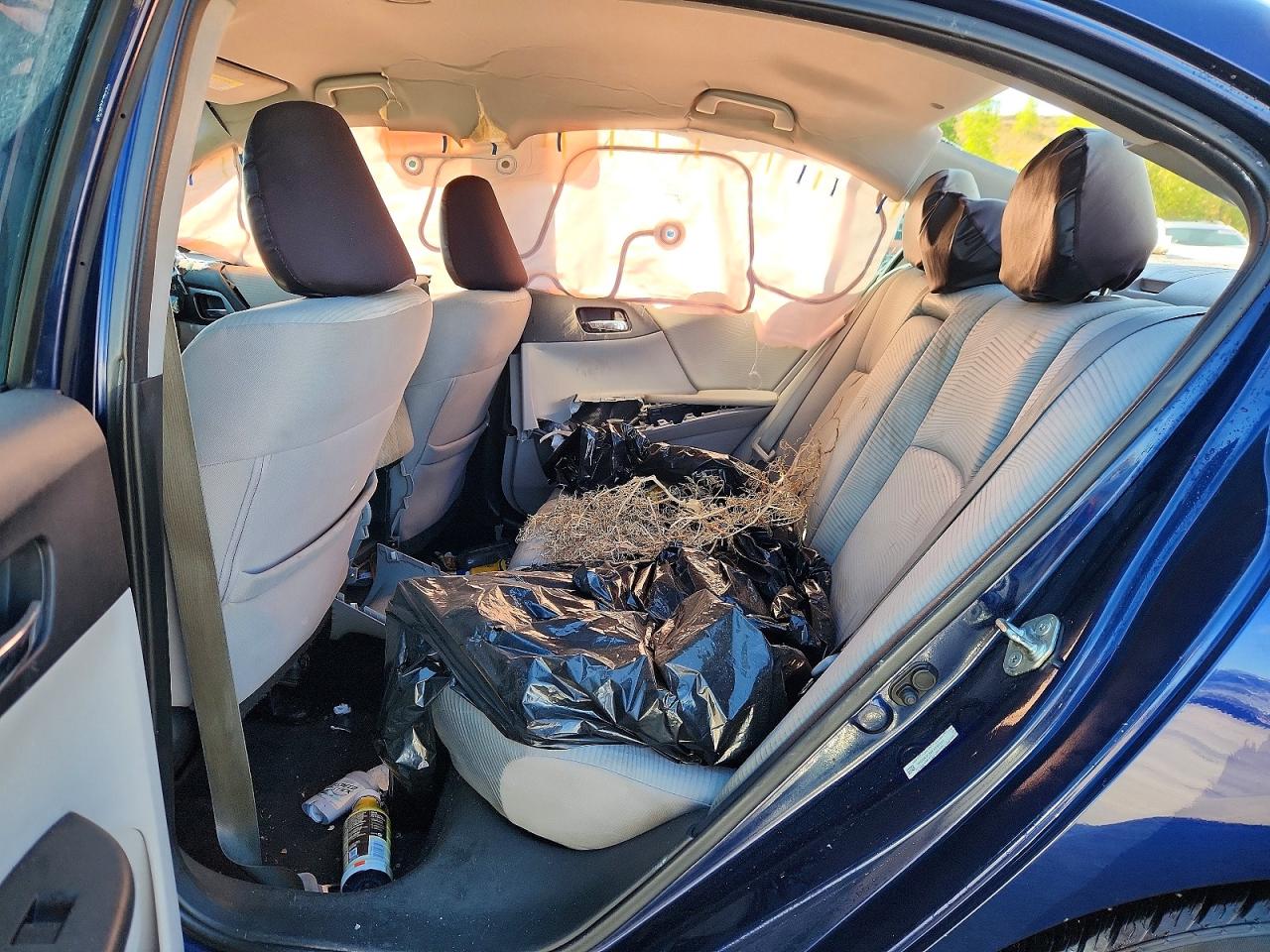 2014 Honda Accord Lx Blue vin: 1HGCR2F36EA097191