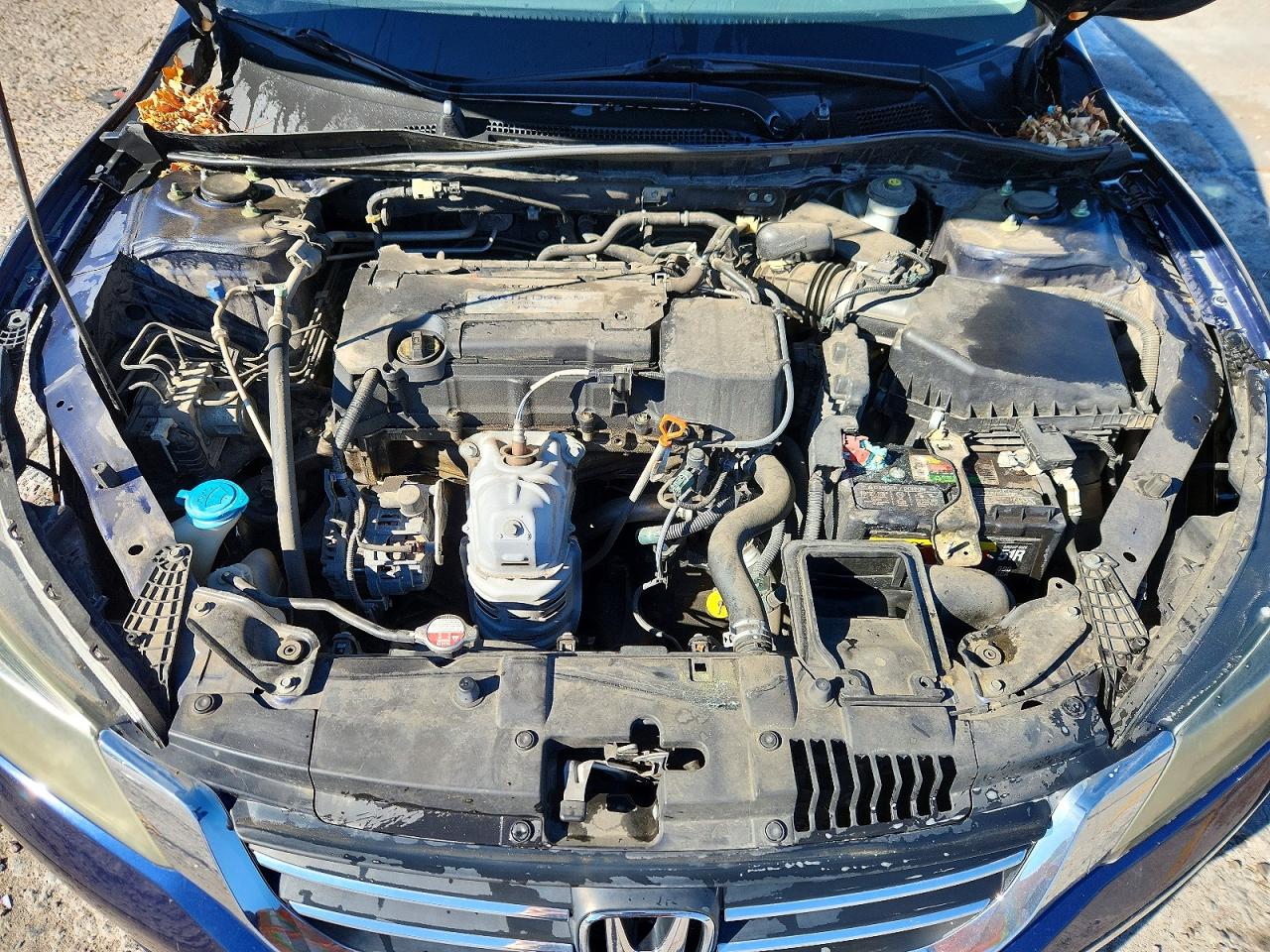 2014 Honda Accord Lx Blue vin: 1HGCR2F36EA097191