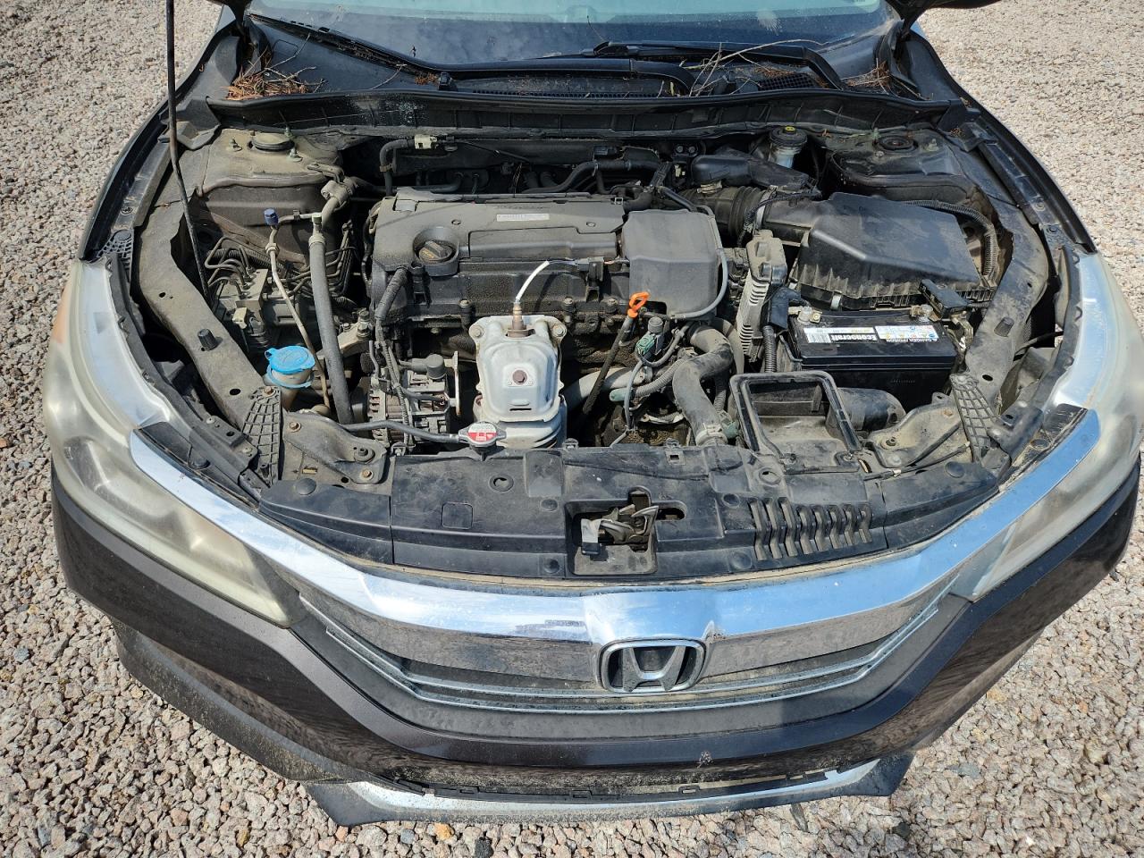 2017 Honda Accord Lx Brown vin: 1HGCR2F36HA199191