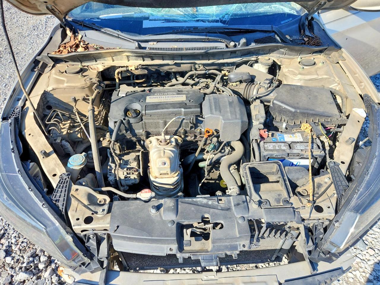 2013 Honda Accord Lx Gold vin: 1HGCR2F37DA220575