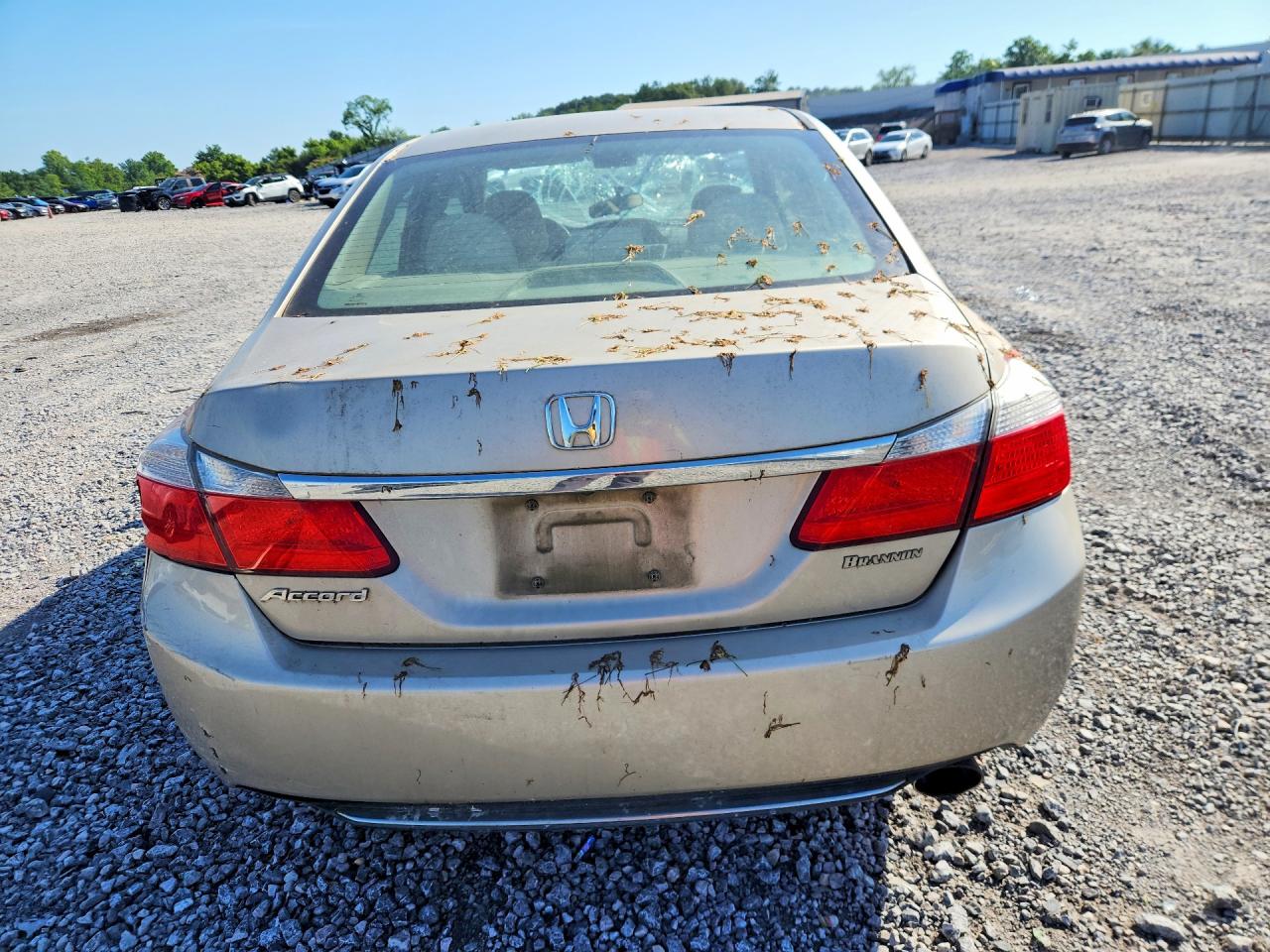 2013 Honda Accord Lx Gold vin: 1HGCR2F37DA220575