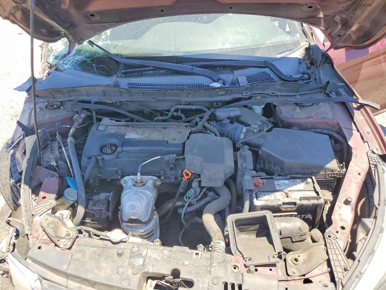 2013 Honda Accord Burgundy vin: 1HGCR2F38DA057435
