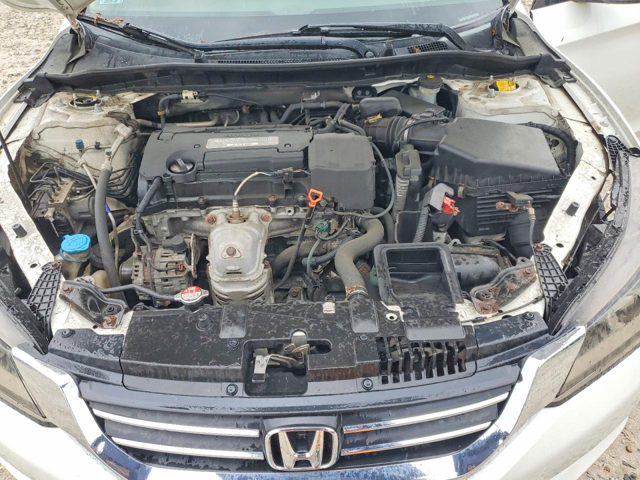 2015 Honda Accord Lx White vin: 1HGCR2F38FA240868