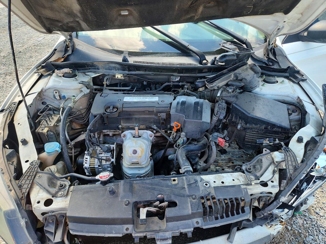 2013 Honda Accord White vin: 1HGCR2F39DA117559