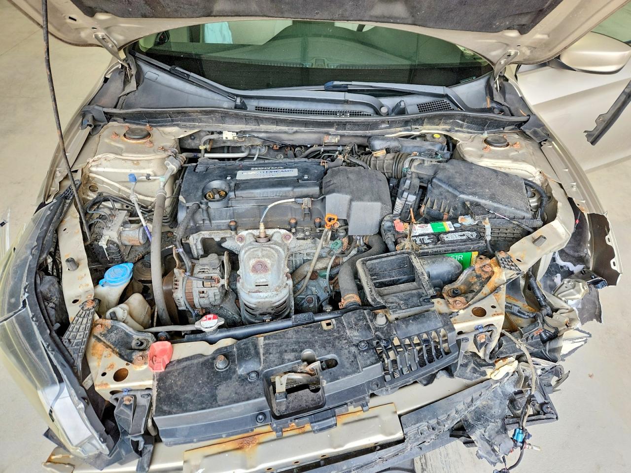 2013 Honda Accord Lx Бежевый vin: 1HGCR2F39DA215474
