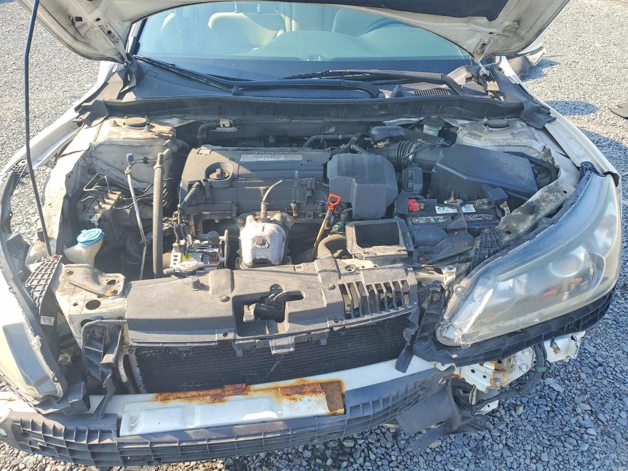 2013 Honda Accord Lx White vin: 1HGCR2F39DA240438