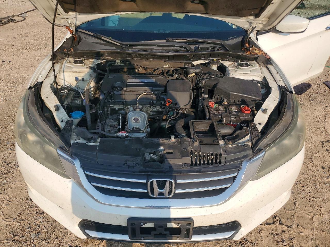 2014 Honda Accord Lx White vin: 1HGCR2F39EA264496