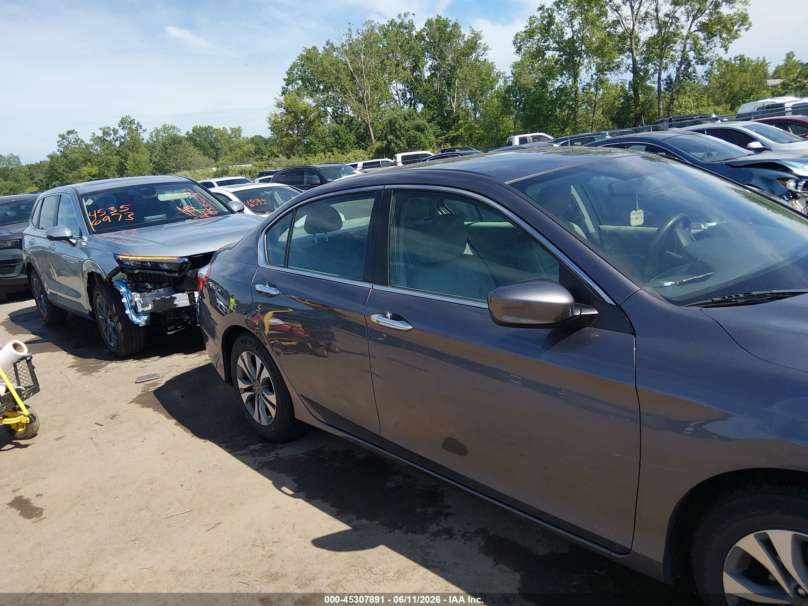 2015 Honda Accord Lx Серый vin: 1HGCR2F39FA026844