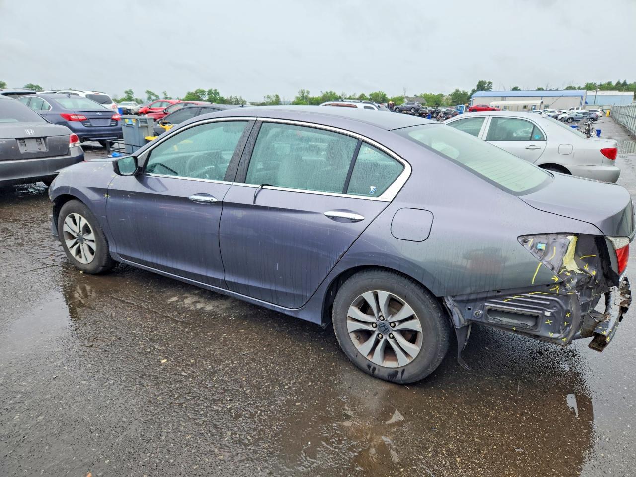 2014 Honda Accord Lx Gray vin: 1HGCR2F3XEA048009