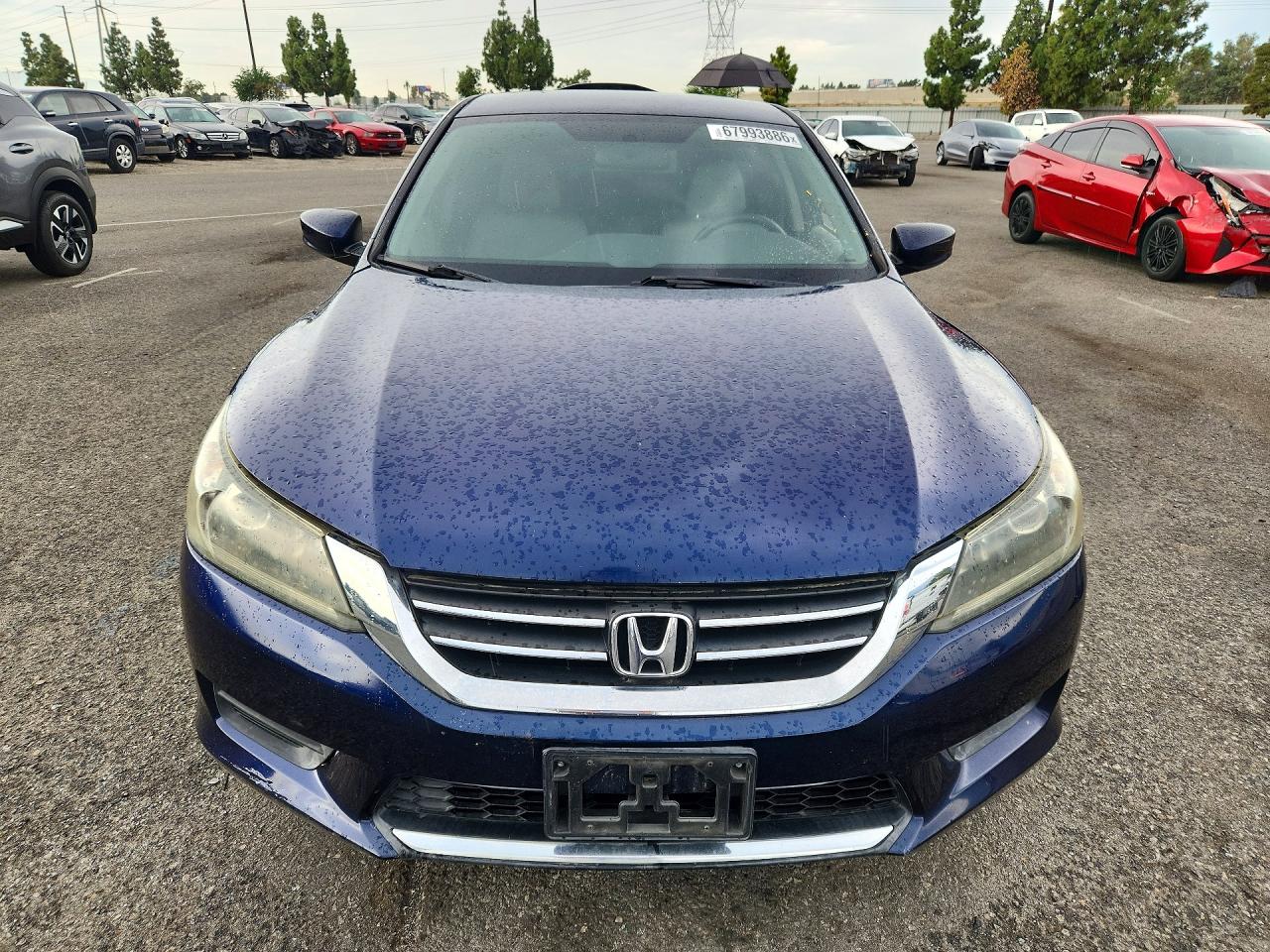 2015 Honda Accord Lx Blue vin: 1HGCR2F3XFA229015