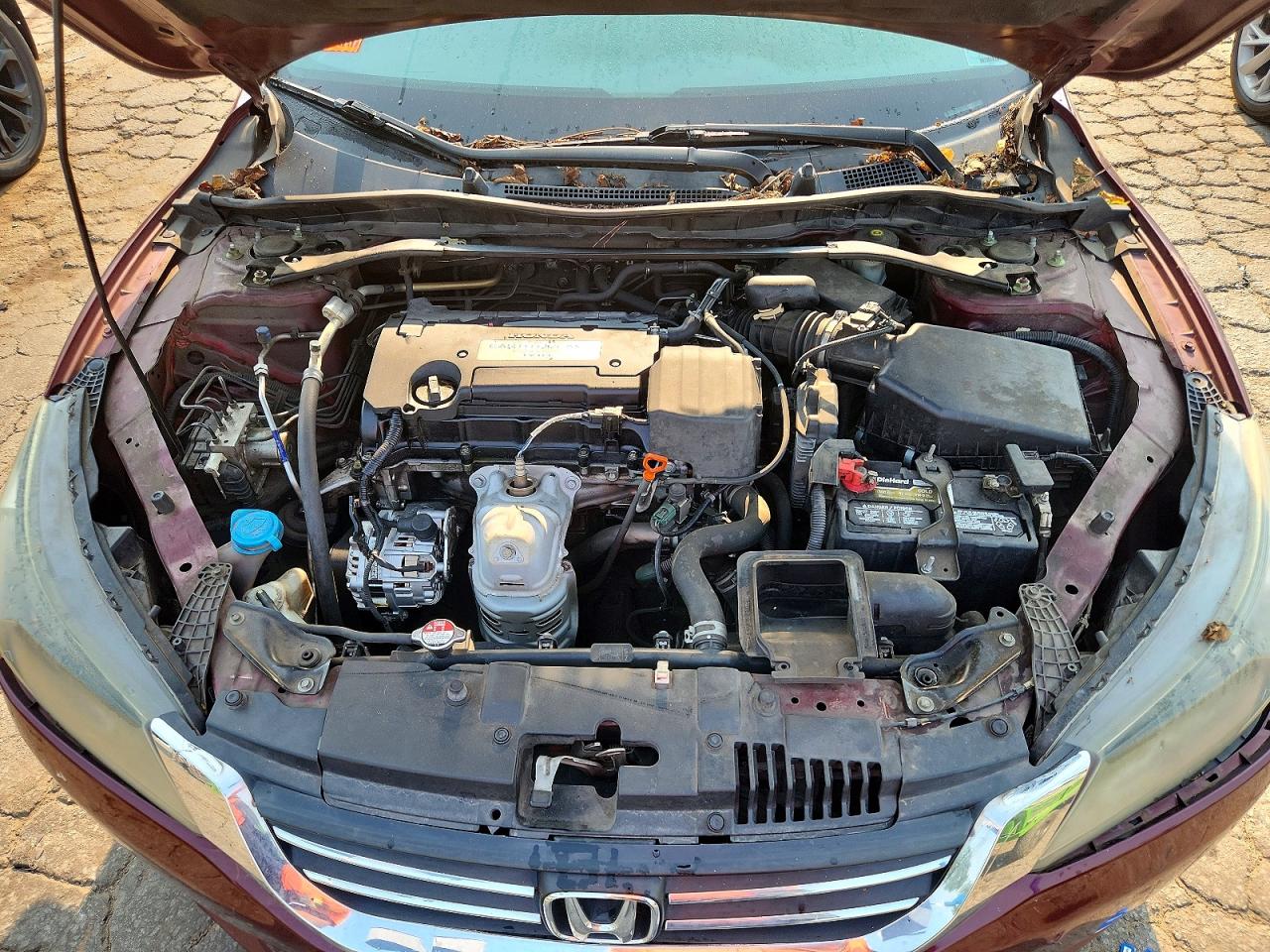 2014 Honda Accord Sport Бордовый vin: 1HGCR2F50EA246793