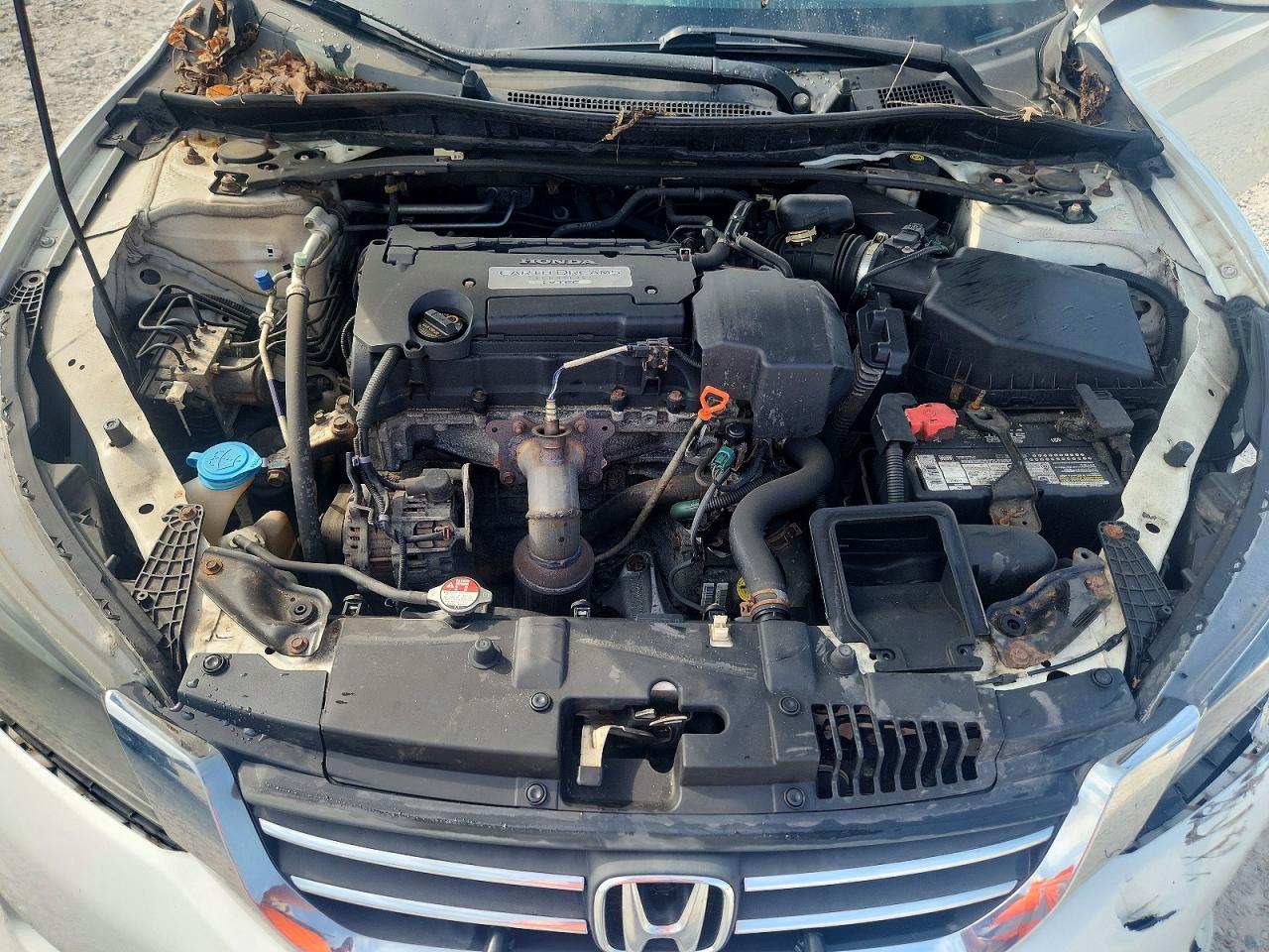 2013 Honda Accord Sport White vin: 1HGCR2F51DA032023