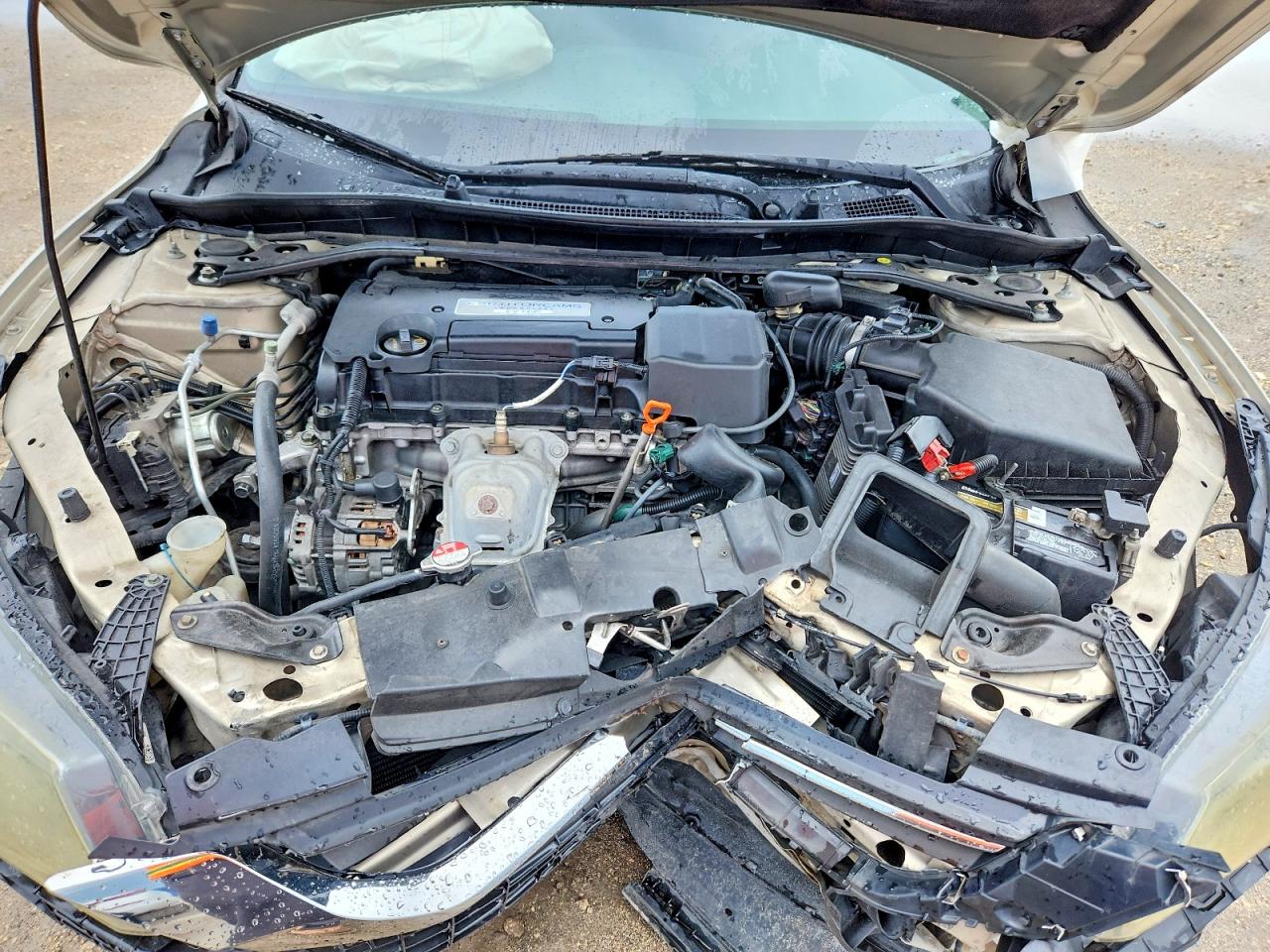 2014 Honda Accord Sport Gold vin: 1HGCR2F52EA082432