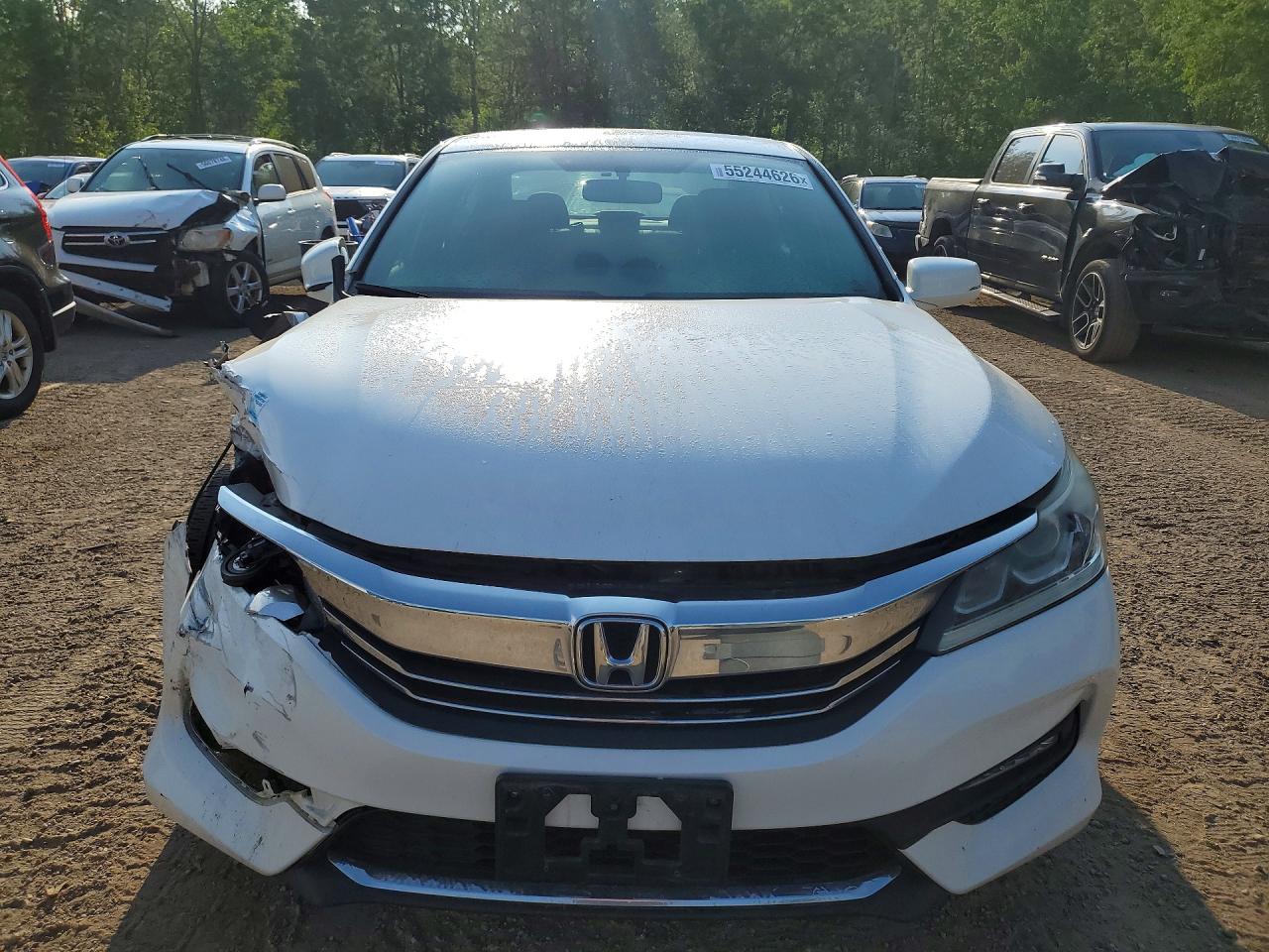 2016 Honda Accord Sport White vin: 1HGCR2F52GA802136