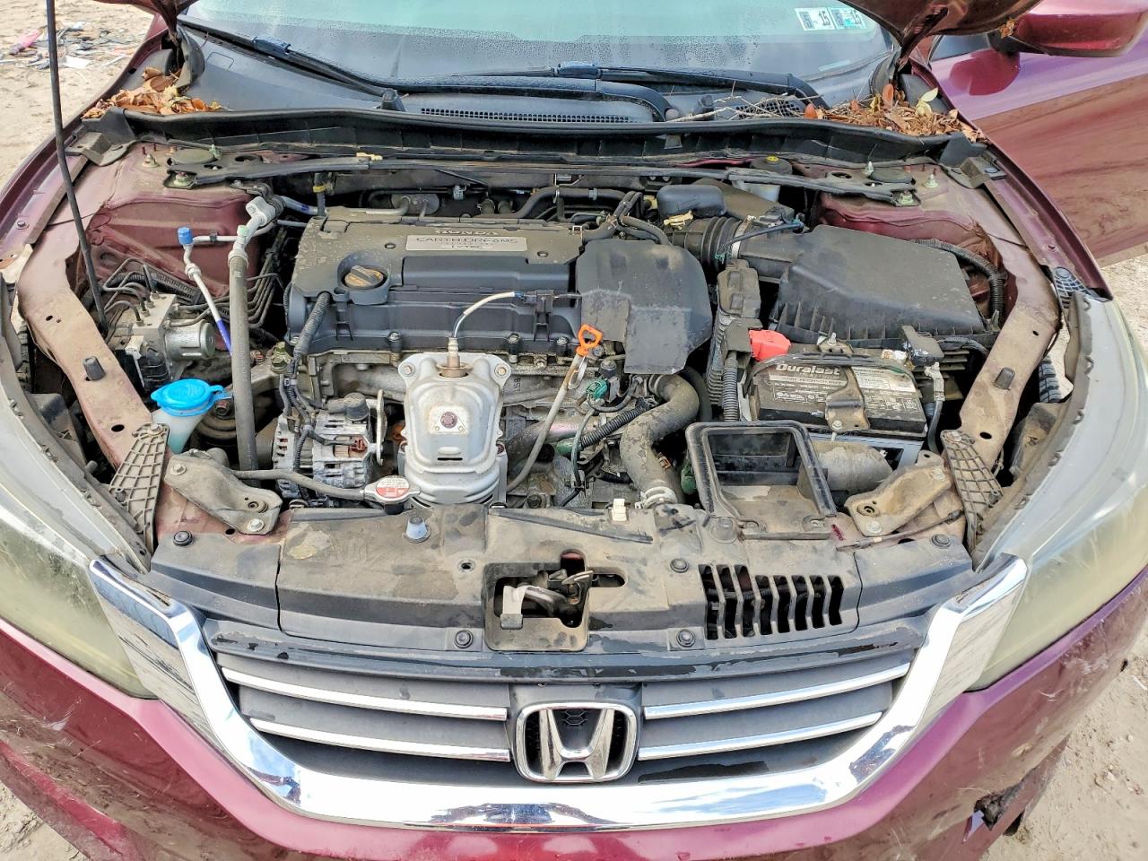2013 Honda Accord Sport Burgundy vin: 1HGCR2F53DA066867