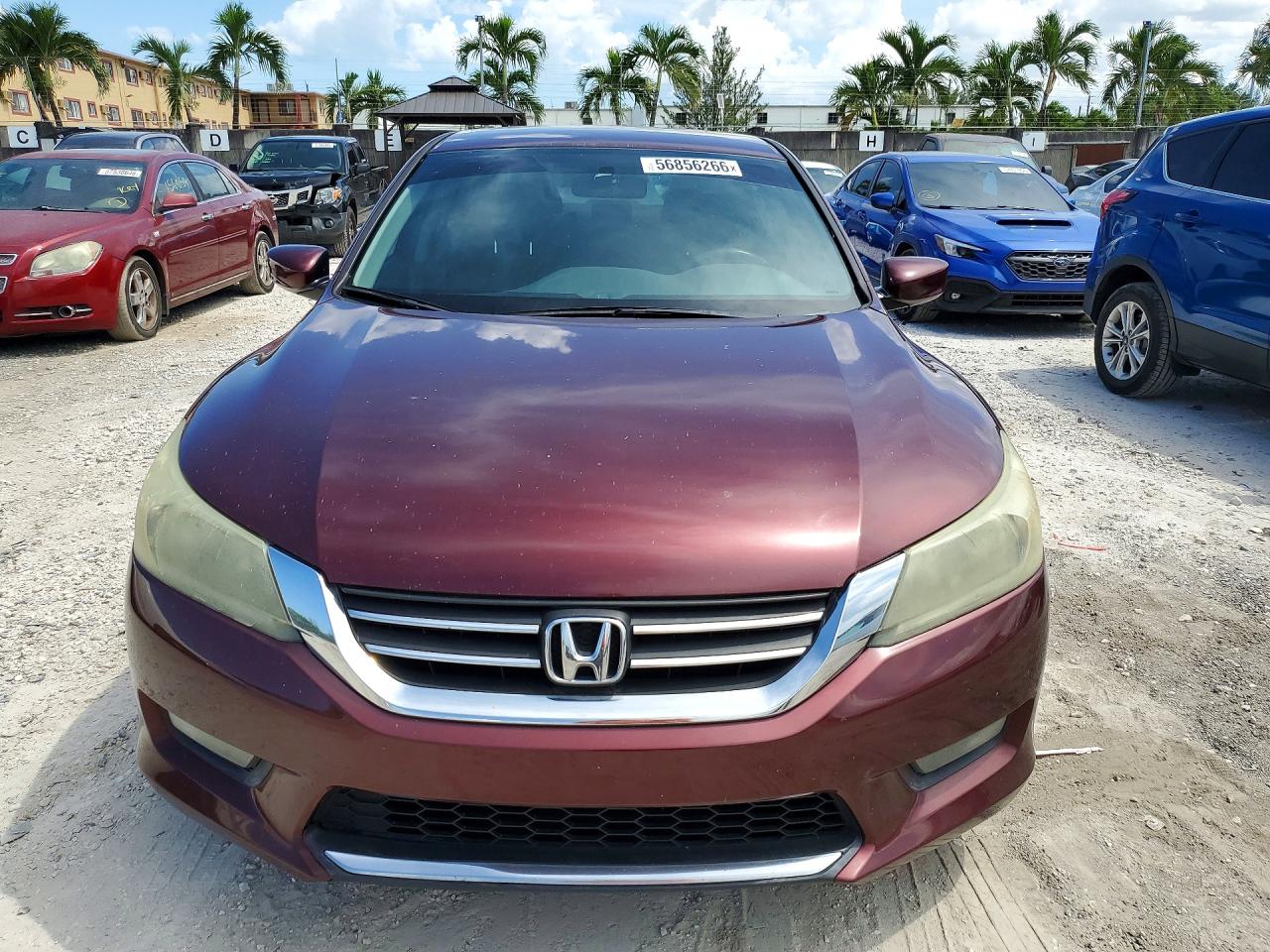 2014 Honda Accord Sport Burgundy vin: 1HGCR2F53EA184399