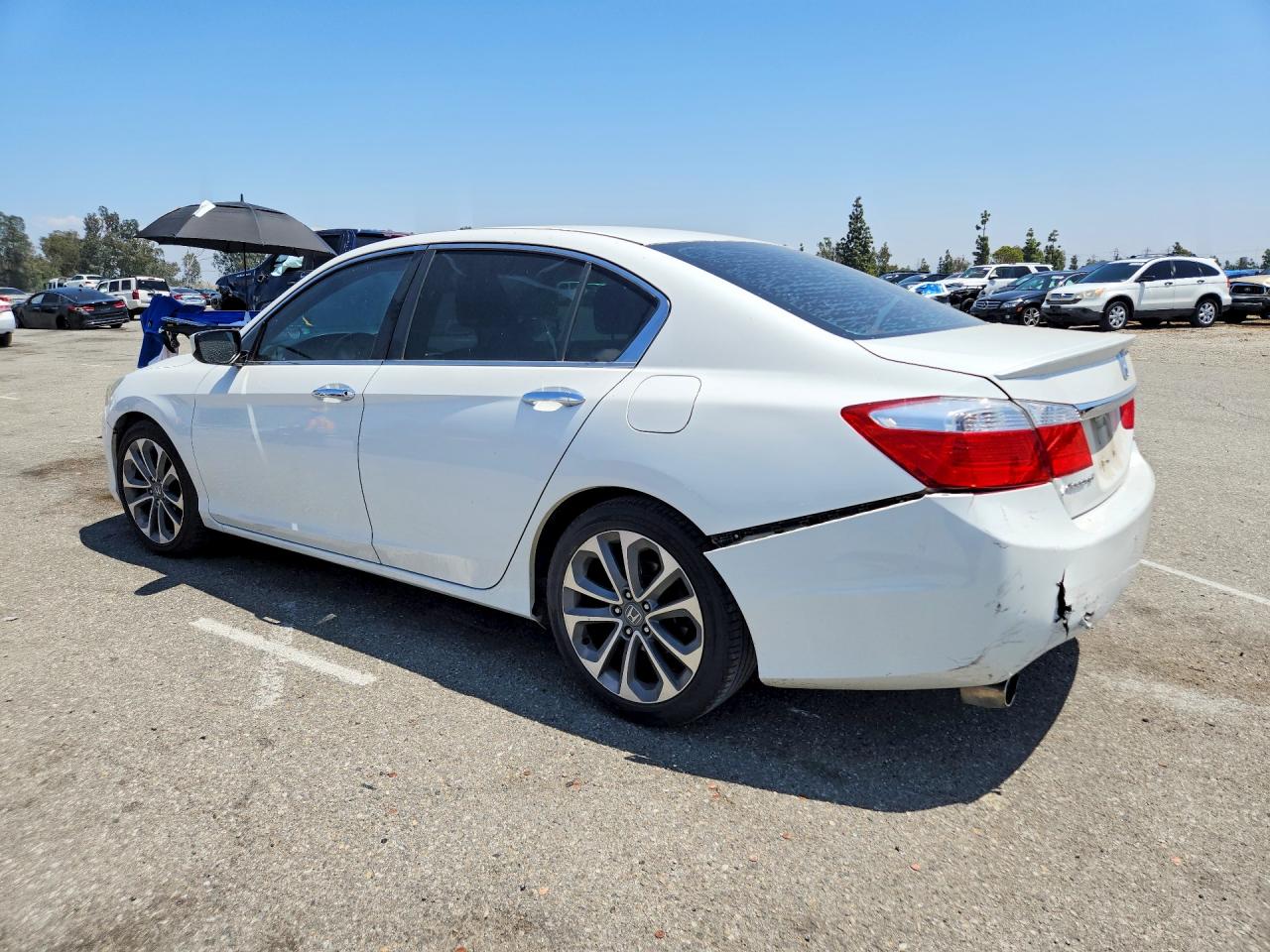2015 Honda Accord Sport White vin: 1HGCR2F54FA063950