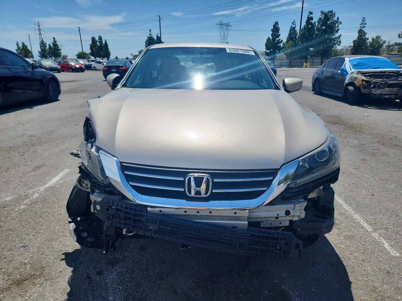 2013 Honda Accord Sport Cream vin: 1HGCR2F55DA085713