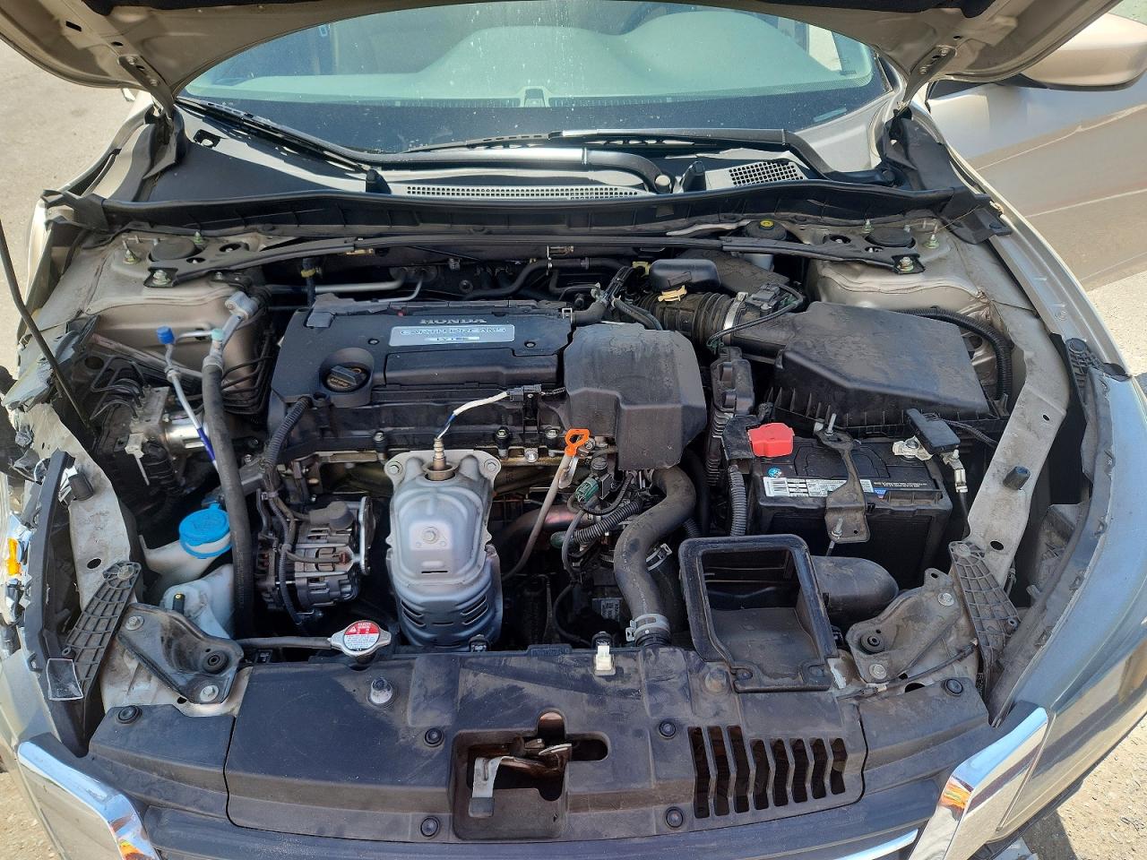 2013 Honda Accord Sport Cream vin: 1HGCR2F55DA085713