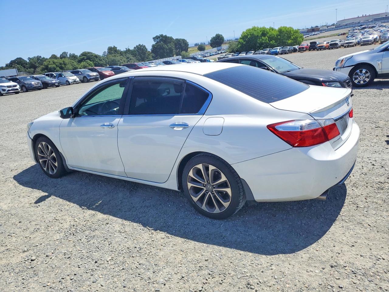 2015 Honda Accord Sport White vin: 1HGCR2F55FA042668