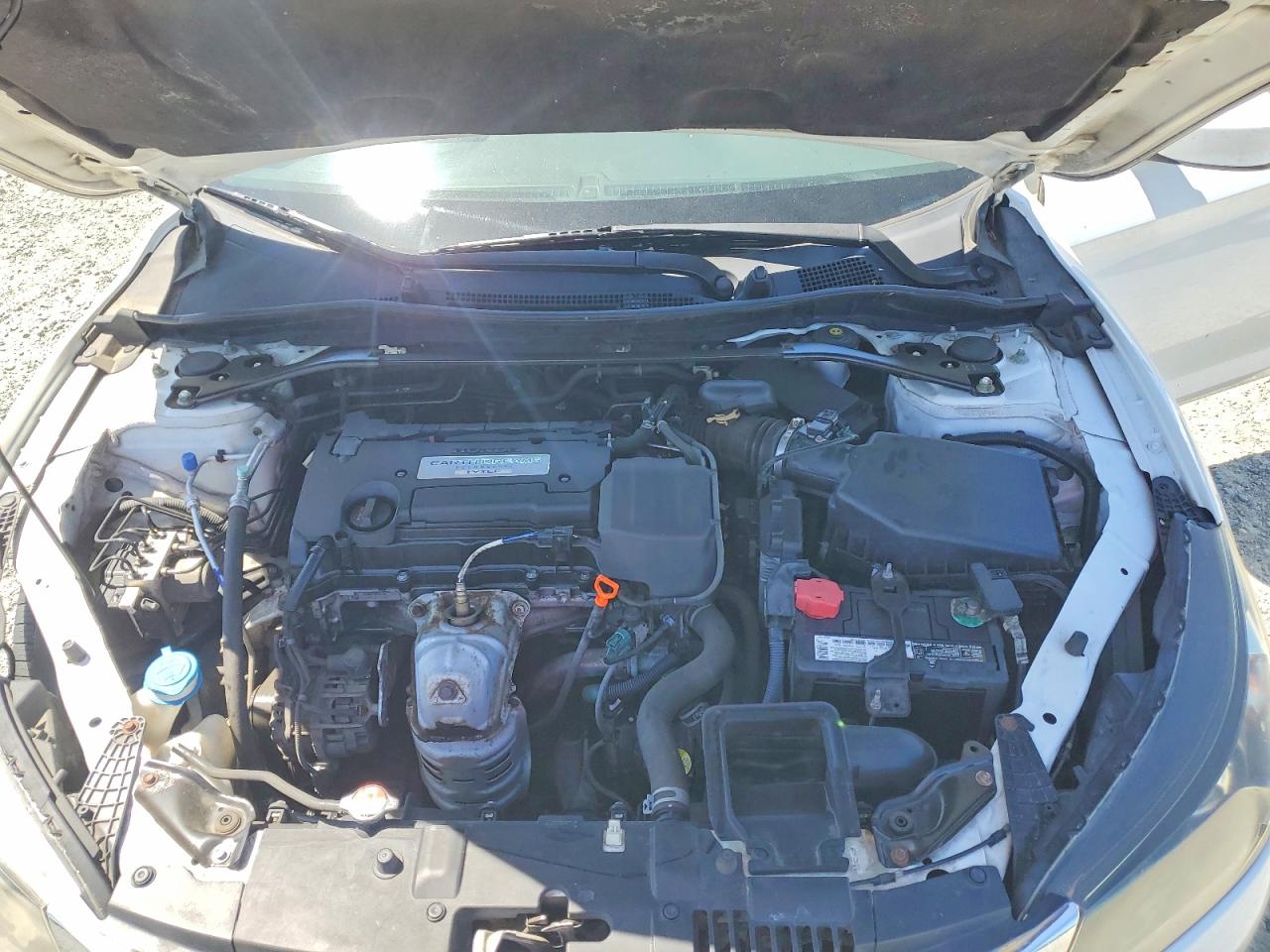2015 Honda Accord Sport White vin: 1HGCR2F55FA042668