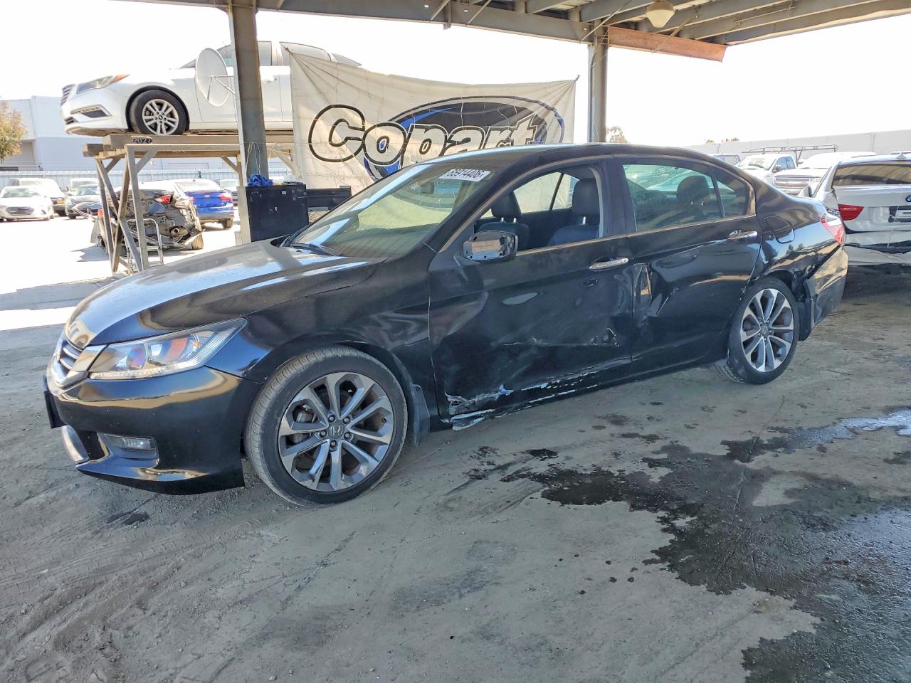 1HGCR2F56FA255032