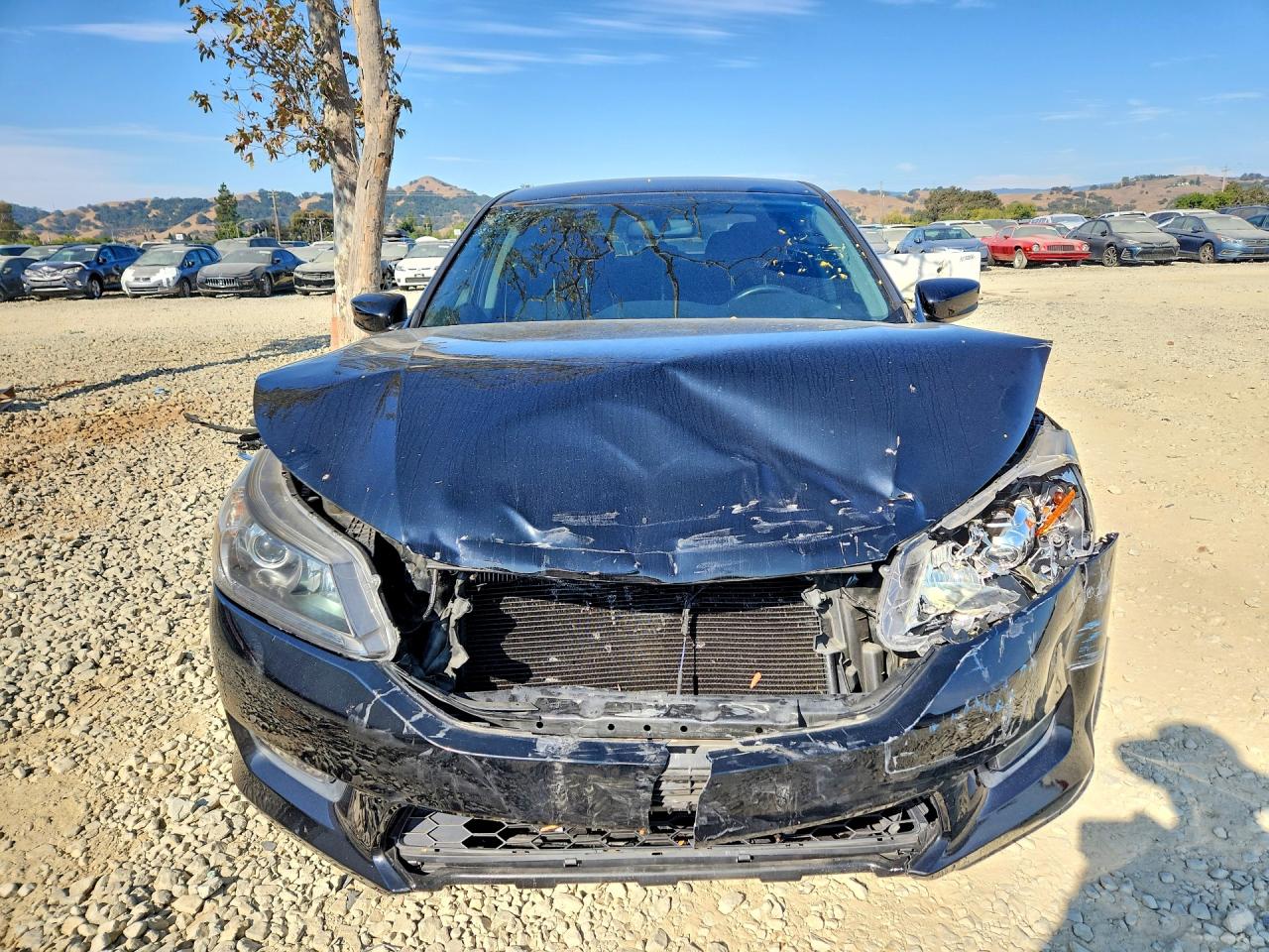 2014 Honda Accord Sport Black vin: 1HGCR2F59EA005220