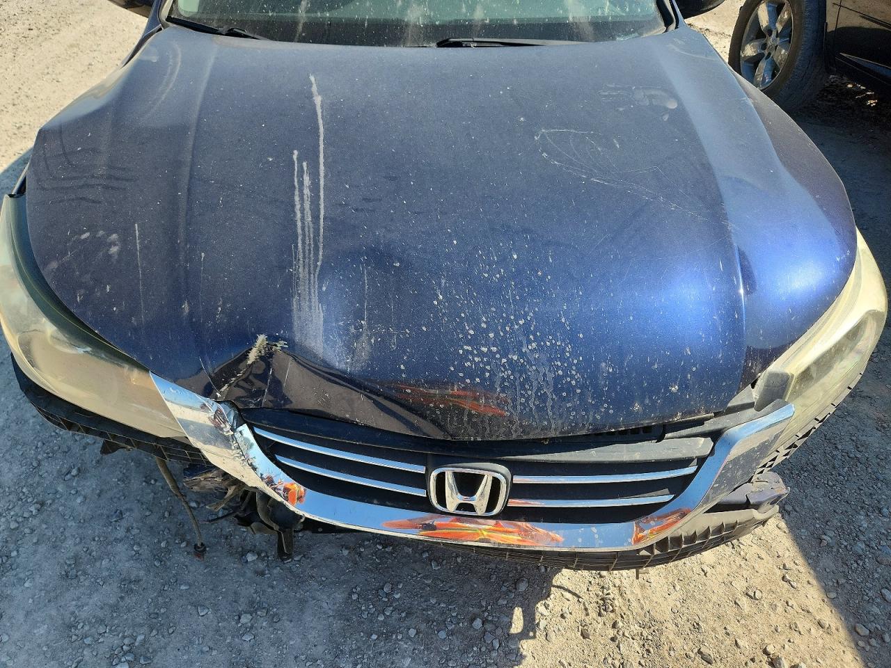 2014 Honda Accord Sport Blue vin: 1HGCR2F59EA098322