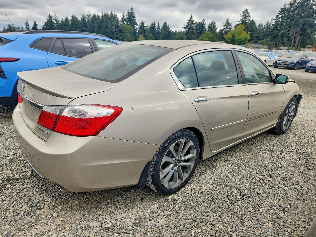 2014 Honda Accord Sport Beige vin: 1HGCR2F59EA227563