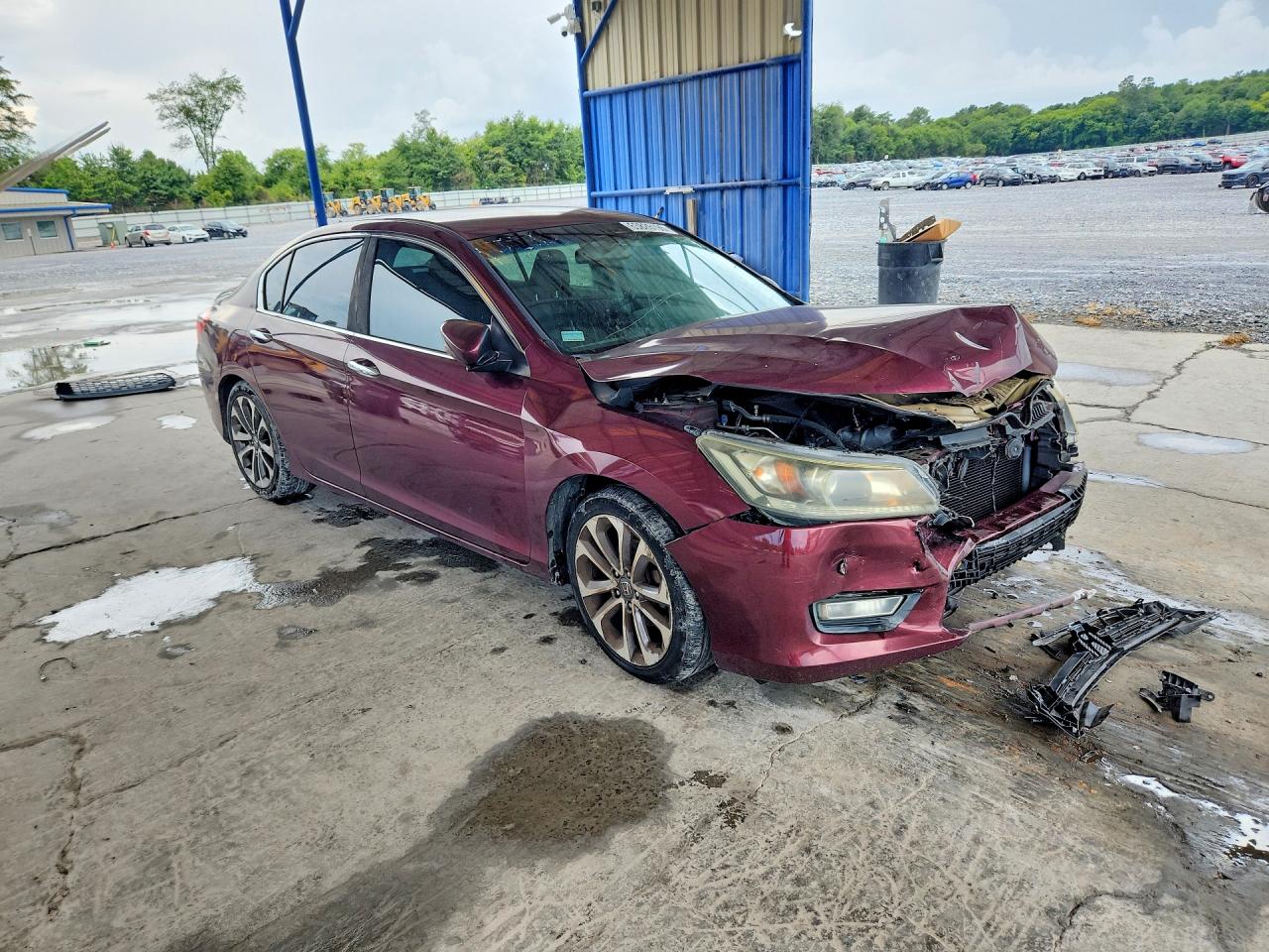 2013 Honda Accord Sport Бордовый vin: 1HGCR2F5XDA134579