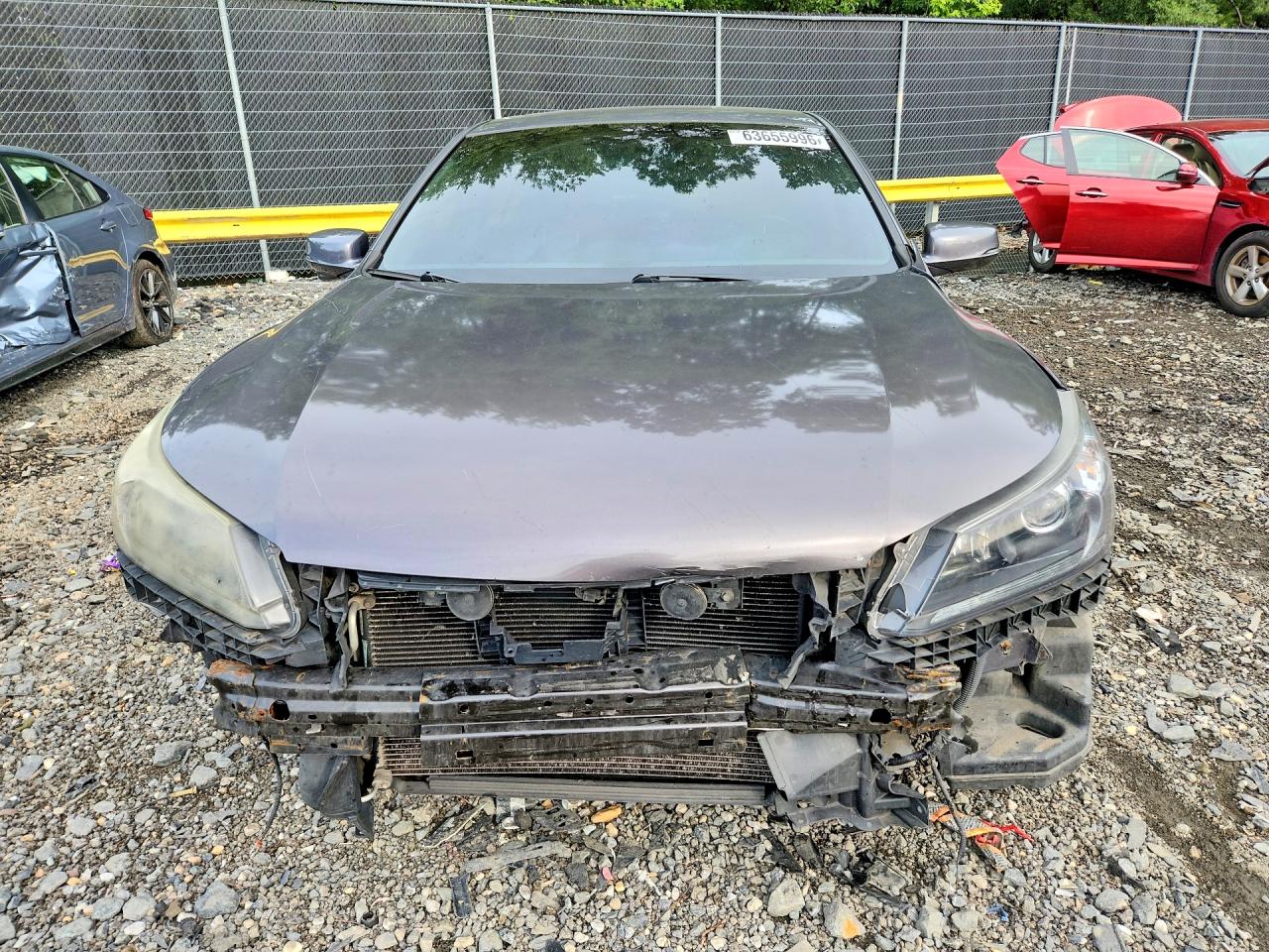 2013 Honda Accord Ex Gray vin: 1HGCR2F70DA244221