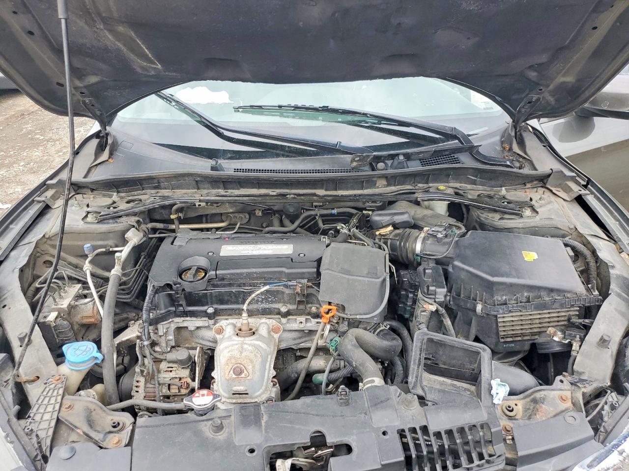 2014 Honda Accord Ex Gray vin: 1HGCR2F70EA085718