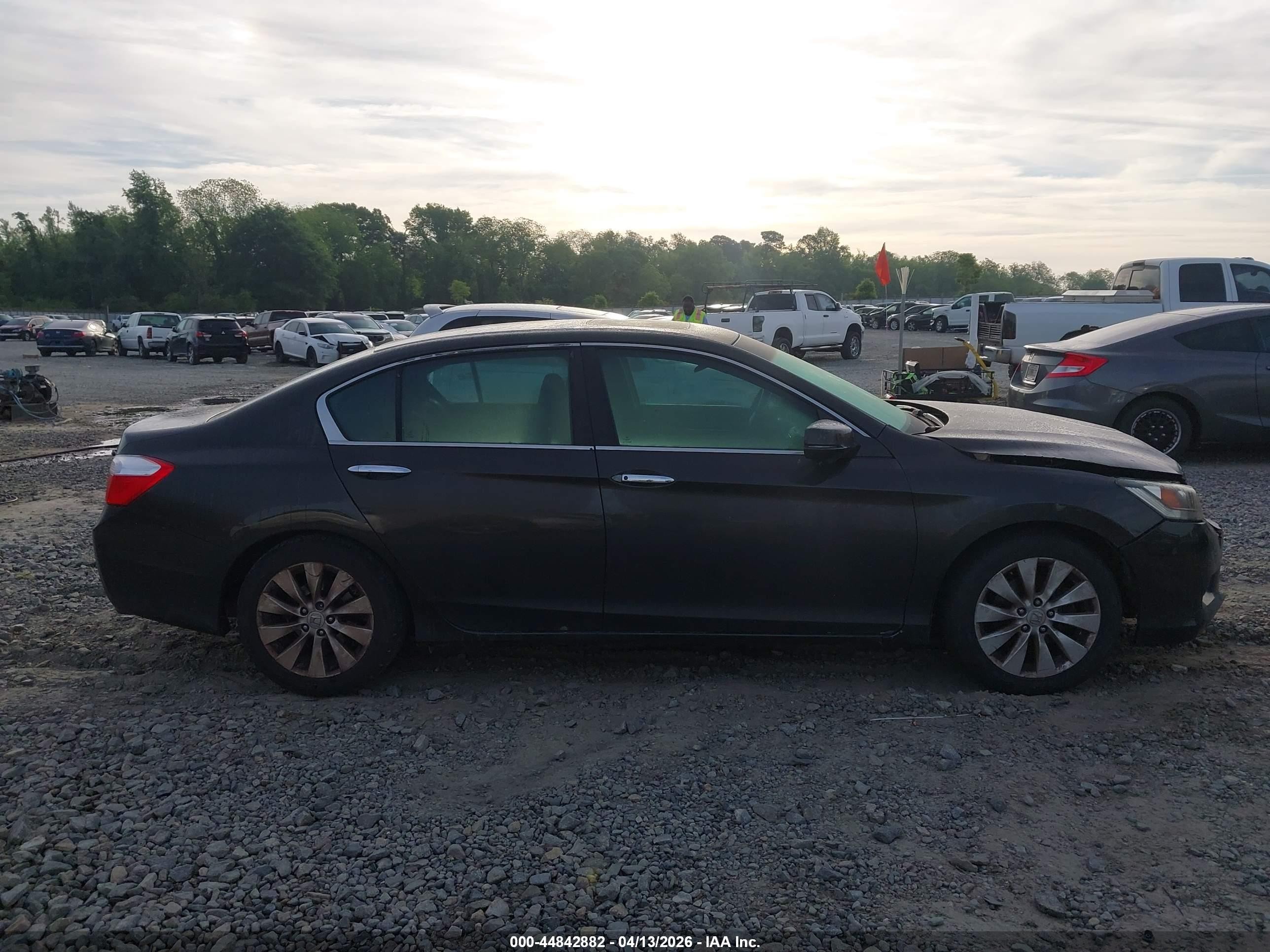 2013 Honda Accord Ex Gray vin: 1HGCR2F71DA123214
