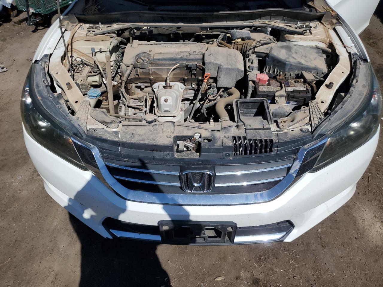 2013 Honda Accord Ex White vin: 1HGCR2F76DA203950