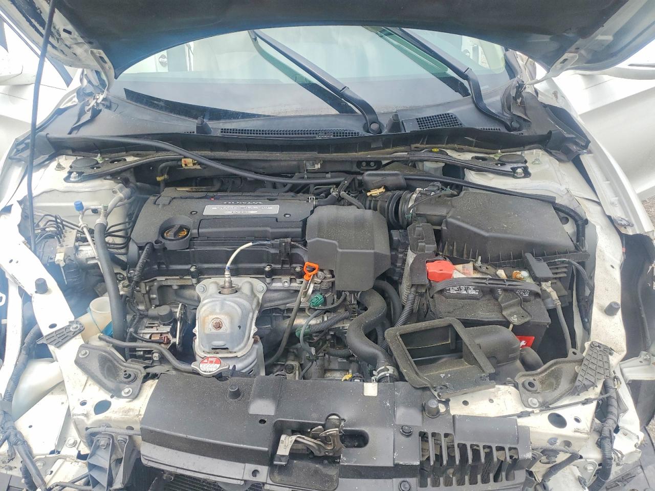 2013 Honda Accord Ex White vin: 1HGCR2F79DA203831