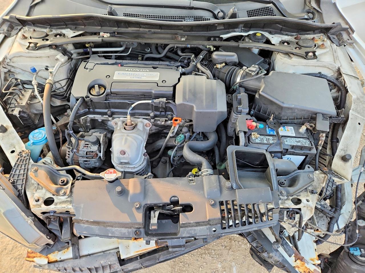 2013 Honda Accord Ex Белый vin: 1HGCR2F7XDA031177