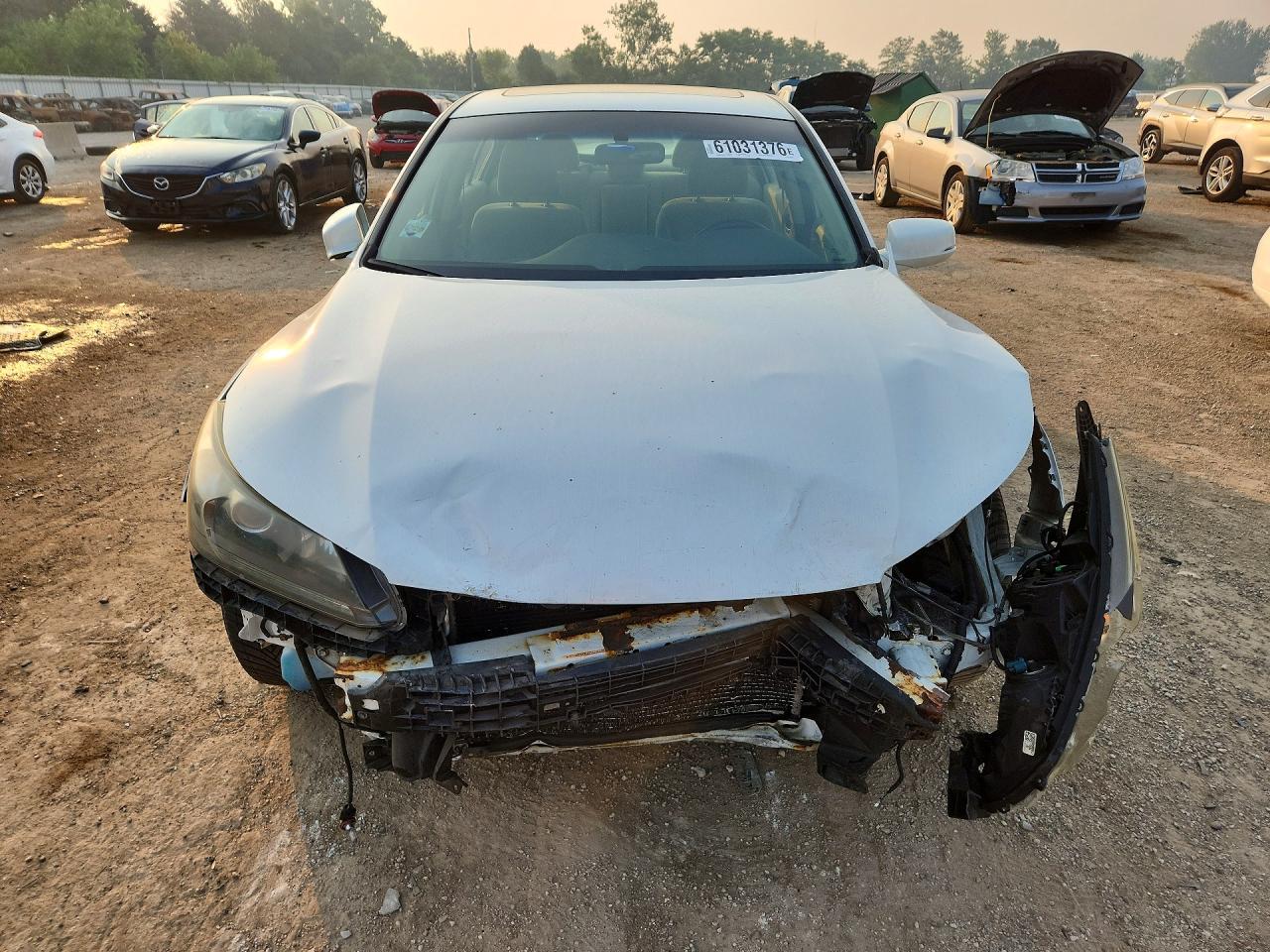 2013 Honda Accord Ex Белый vin: 1HGCR2F7XDA031177
